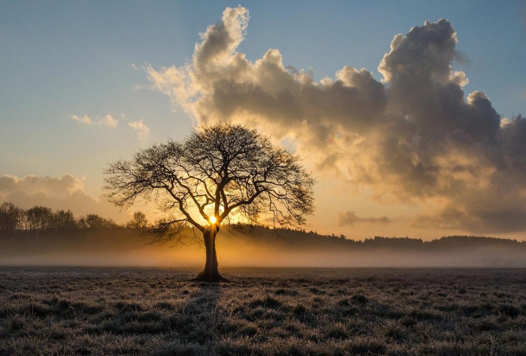 Herbst Bild